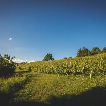 Bed & Breakfast La Meridiana 4*