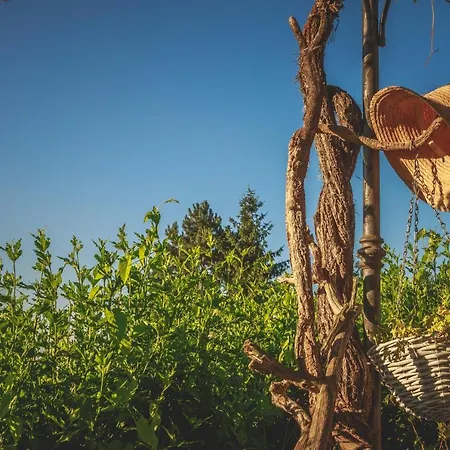 La Meridiana Bed & Breakfast 4*